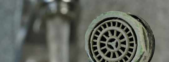 Calcified faucet