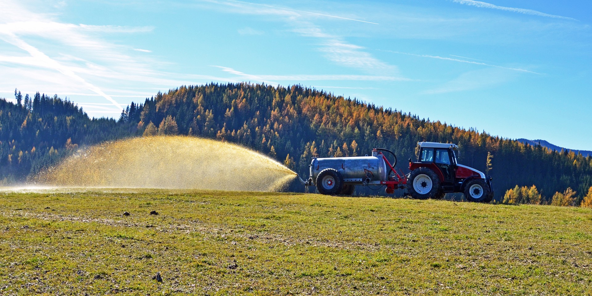 Spread manure, fertilize, manure